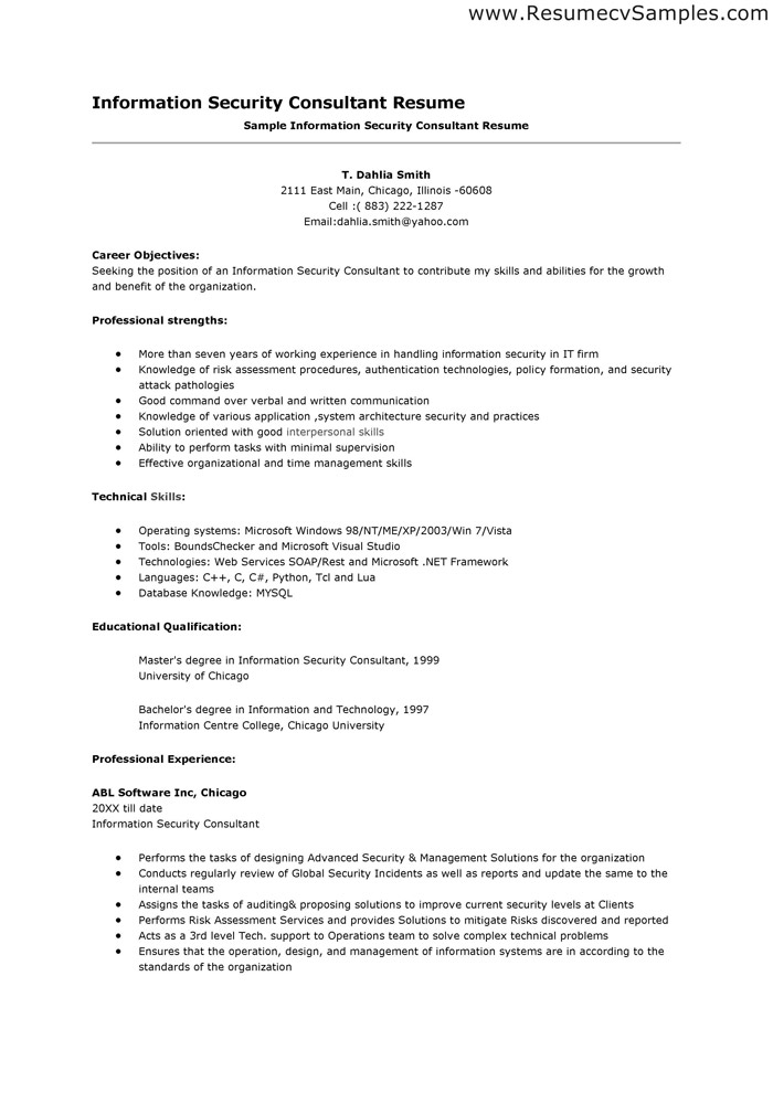 Technology contractor resume